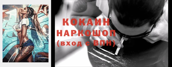 индика Семикаракорск