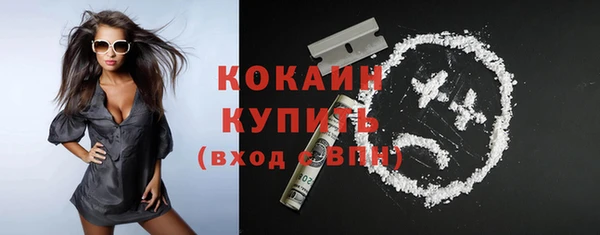 индика Семикаракорск