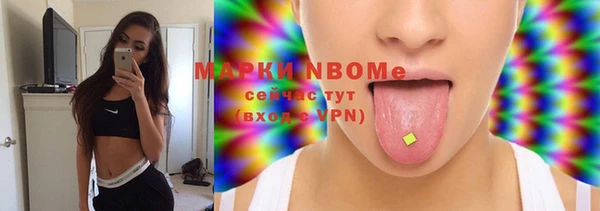 индика Семикаракорск