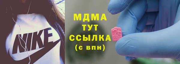 индика Семикаракорск
