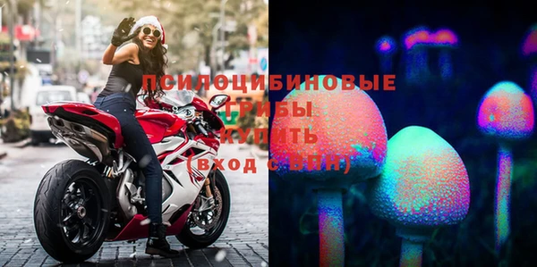 твердый Семёнов