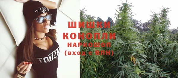 индика Семикаракорск