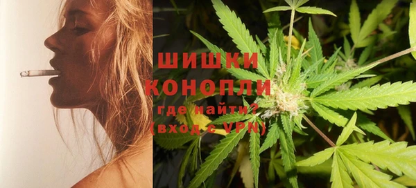 индика Семикаракорск
