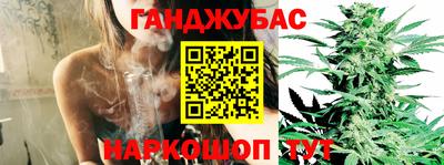 молекула духа Гатчина
