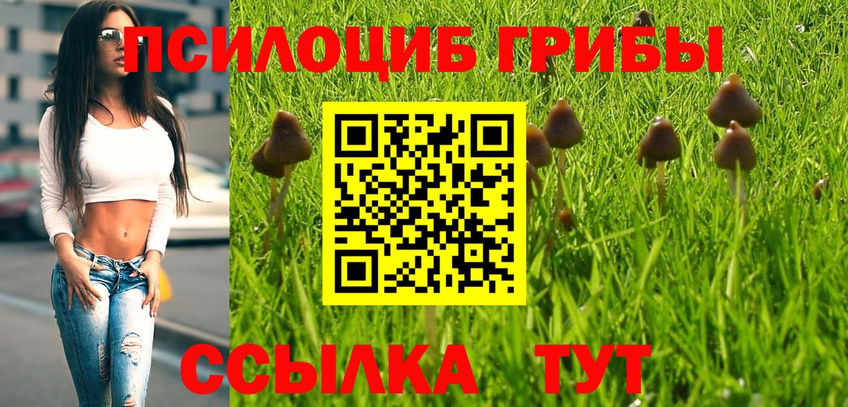 Галлюциногенные грибы Magic Shrooms  Галлюциногенные грибы Psilocybine cubensis  Вход с VPN  Сорочинск 